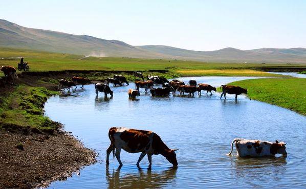 内蒙古，邂逅自然深情的内蒙古之旅