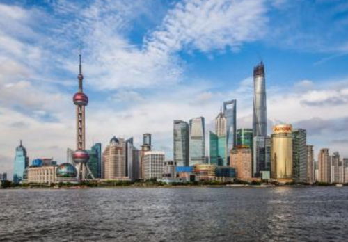 上海，探寻都市绿洲，心灵宁静之旅