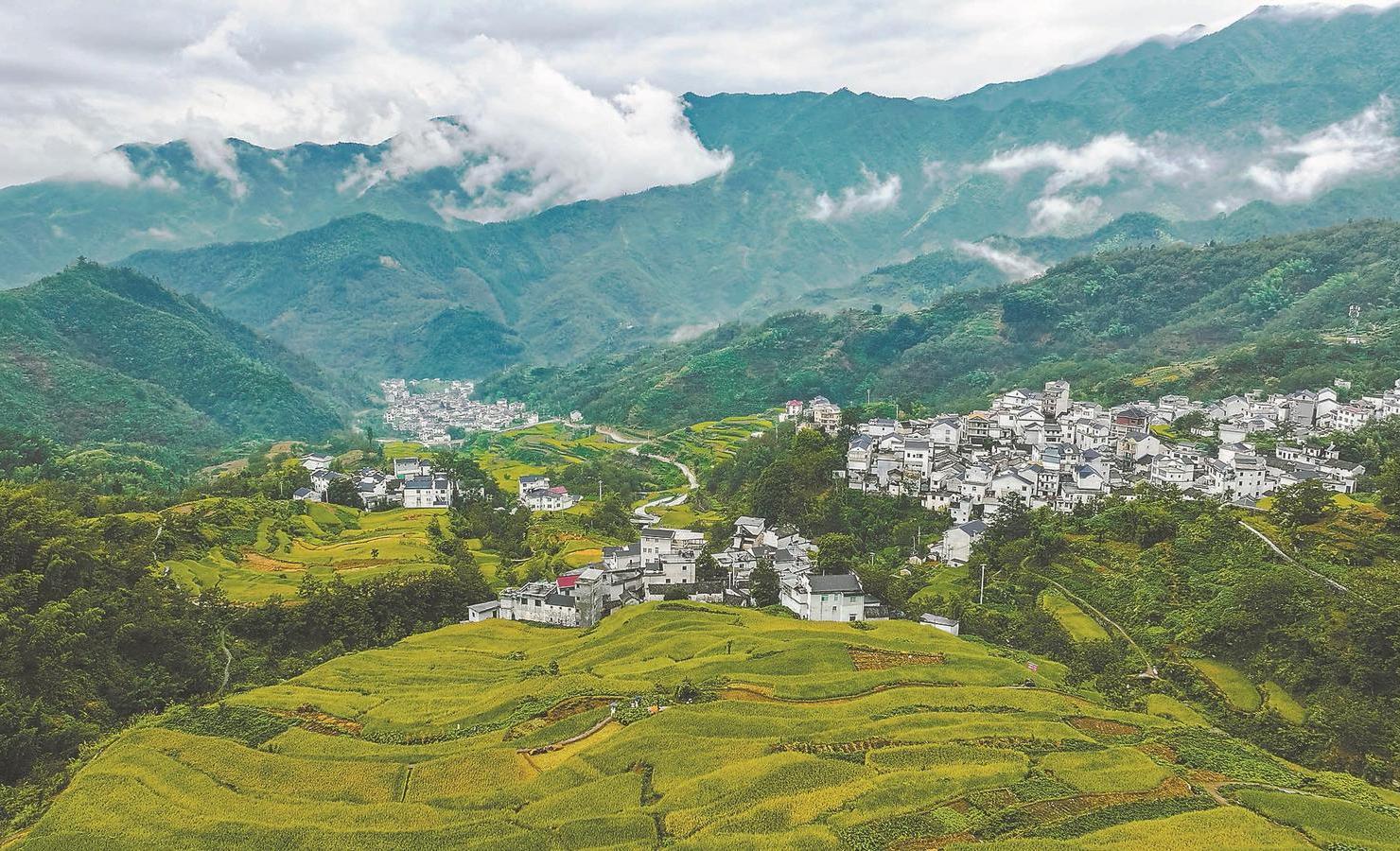 安徽发展探析，观点解析与展望