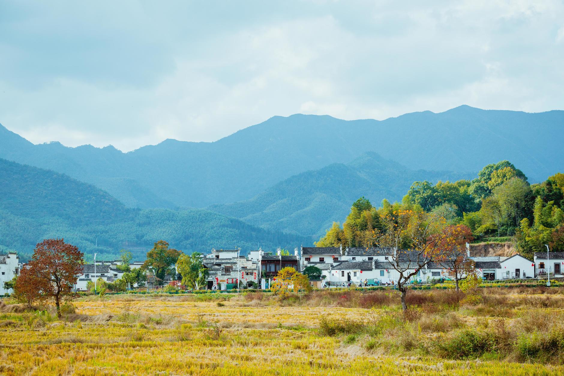 安徽小巷探秘,邂逅隐藏的特色小店