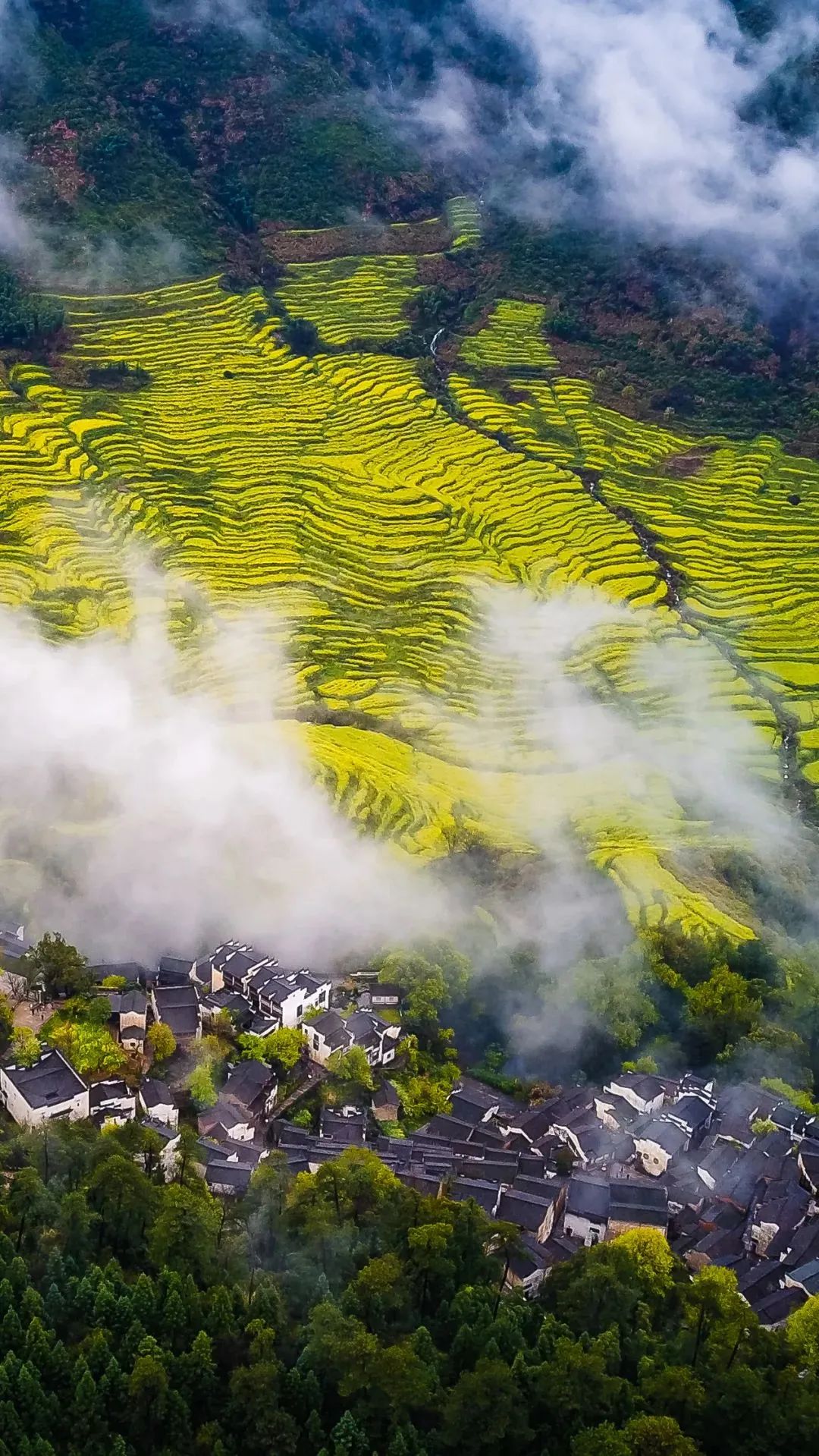 江南秘境，江西，未被时光遗忘的绿意盎然之地🏞️🍃