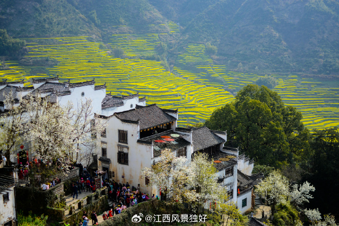 江南秘境,江西,未被时光遗忘的绿意盎然之地🏞️🍃